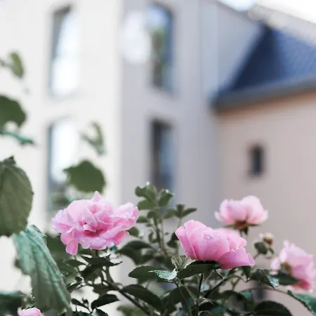 Appartement Burg Domizil