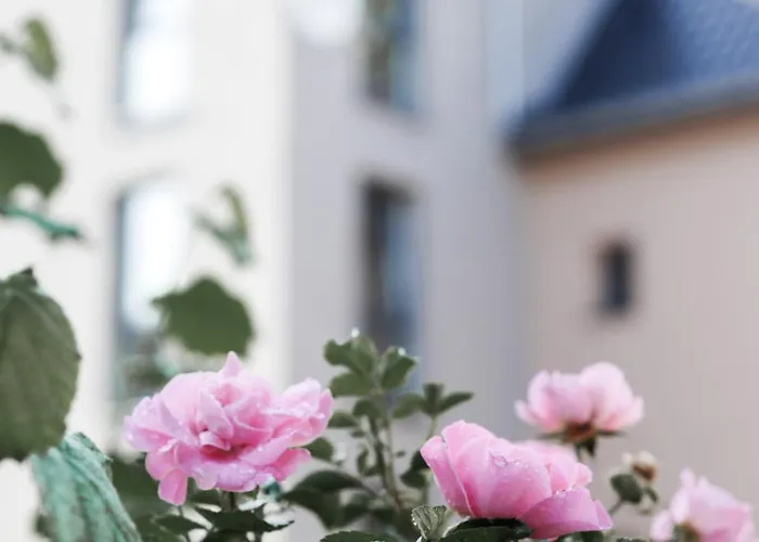 Appartement Burg Domizil